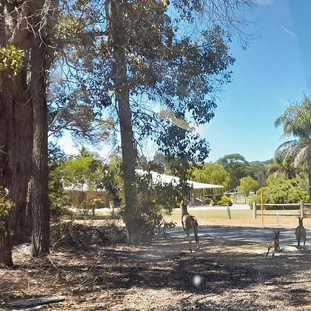 101 Oatlands Motell Mount Barker Exteriör bild